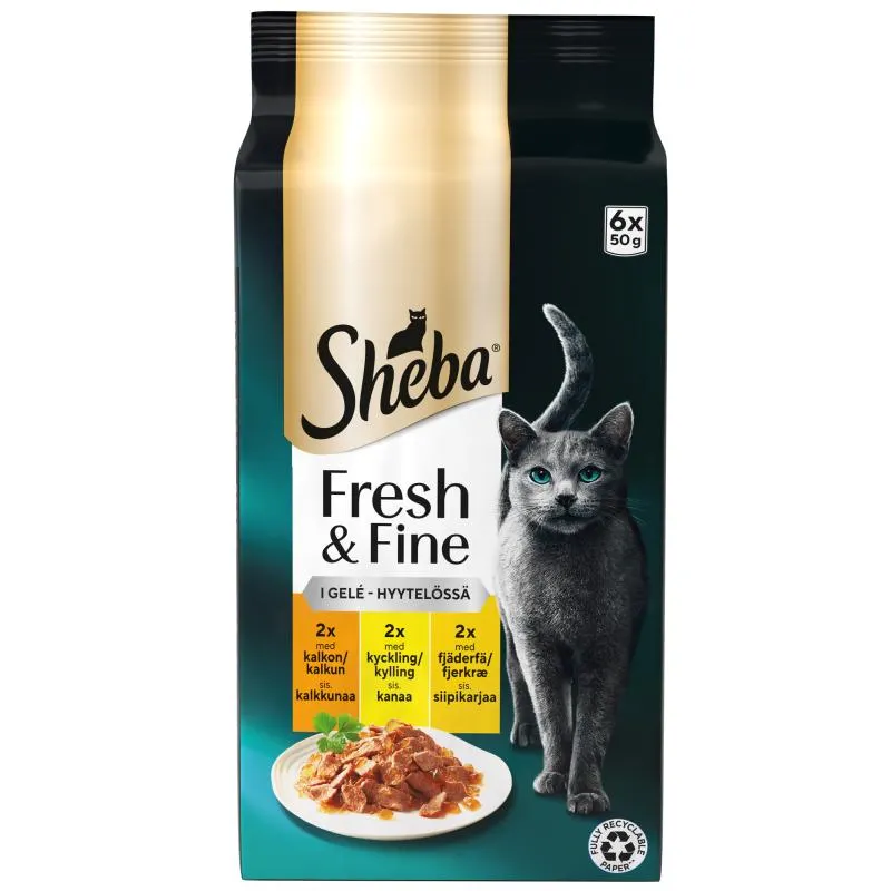 Kissanruoka Sheba 6 x 50 g Fresh & Fine siipikarjalajitelma hyytelössä