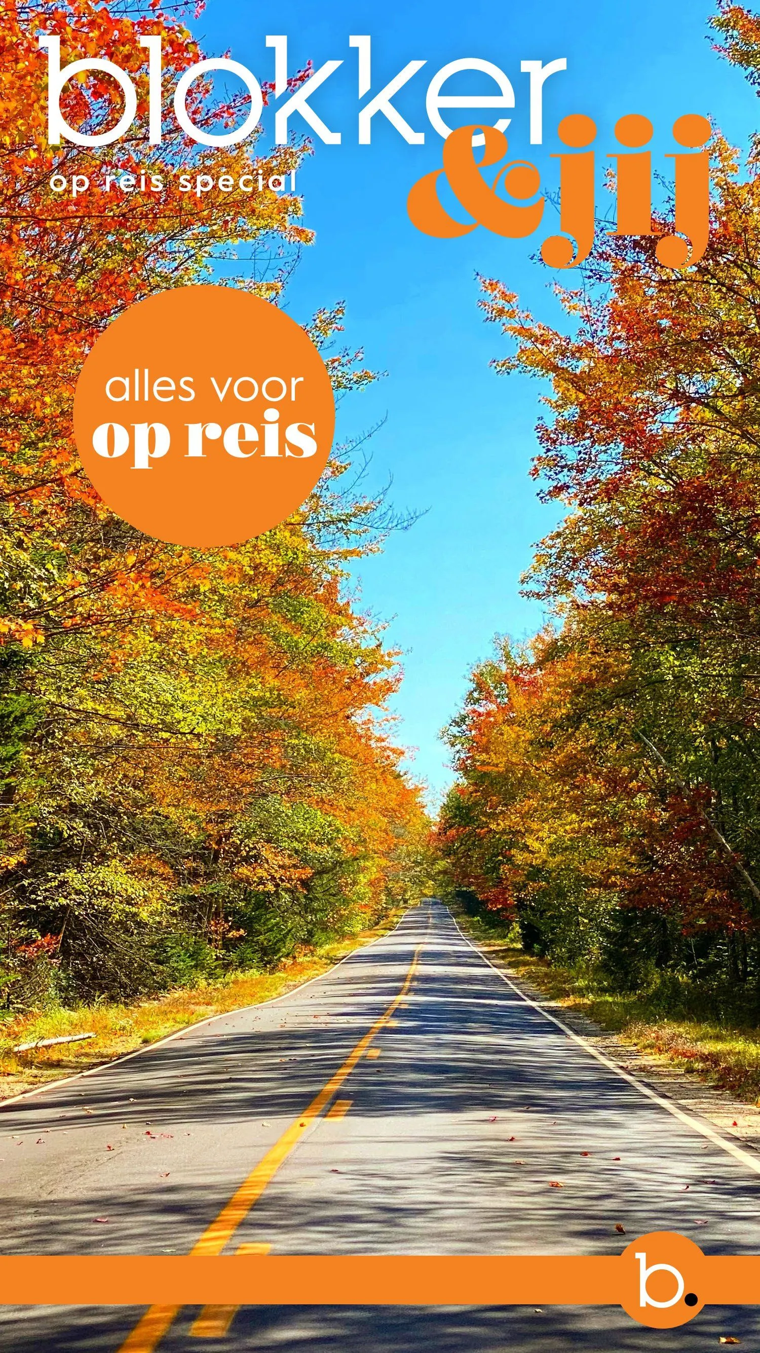 Blokker van 1 december tot 31 december 2024 - Folder pagina 