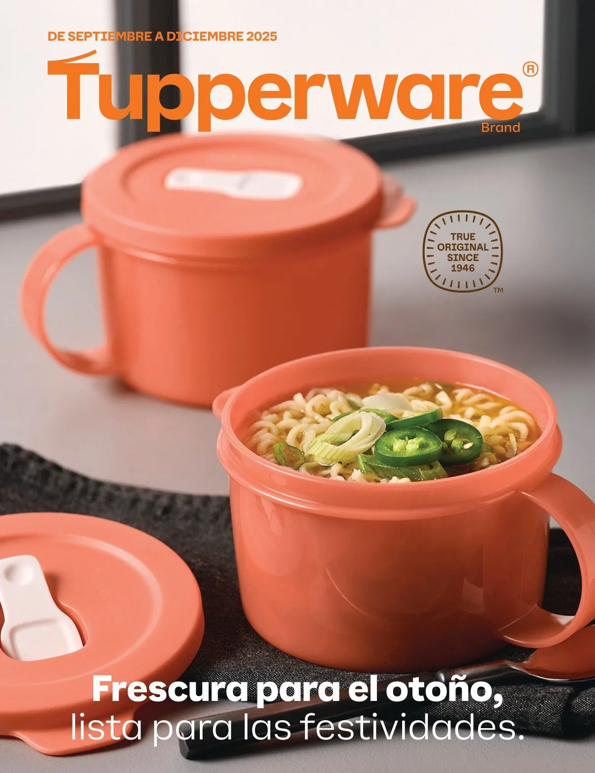 Catálogo de Tupperware ofertas 1 de septiembre al 31 de diciembre 2025 - Pagina