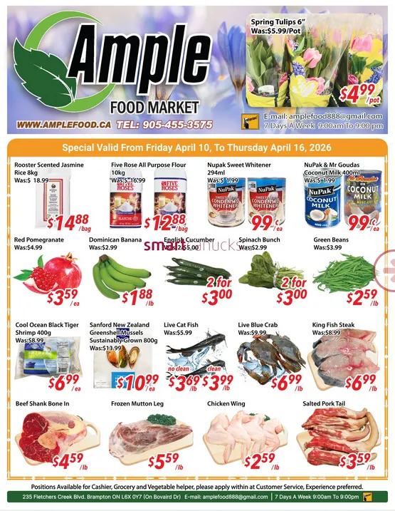 Ample Food Market Sales from April 10 to April 16 2026 - flyer page 1