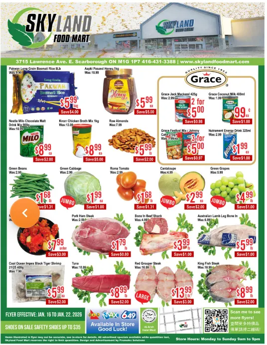 Skyland Foodmart Sales from January 16 to January 22 2026 - flyer page 1