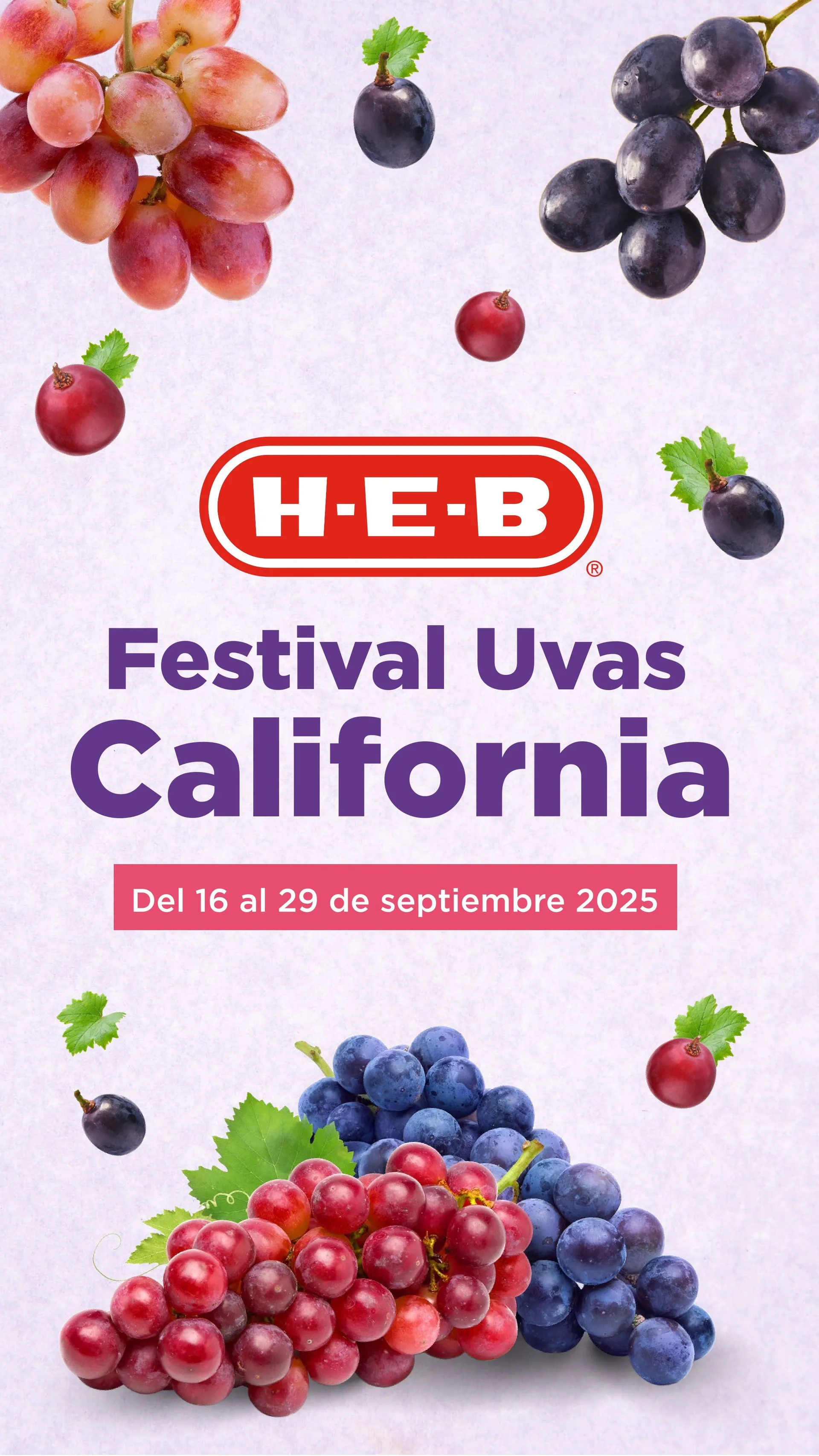 Catálogo de H-E-B - Catálogos semanales 16 de septiembre al 29 de septiembre 2025 - Pagina 