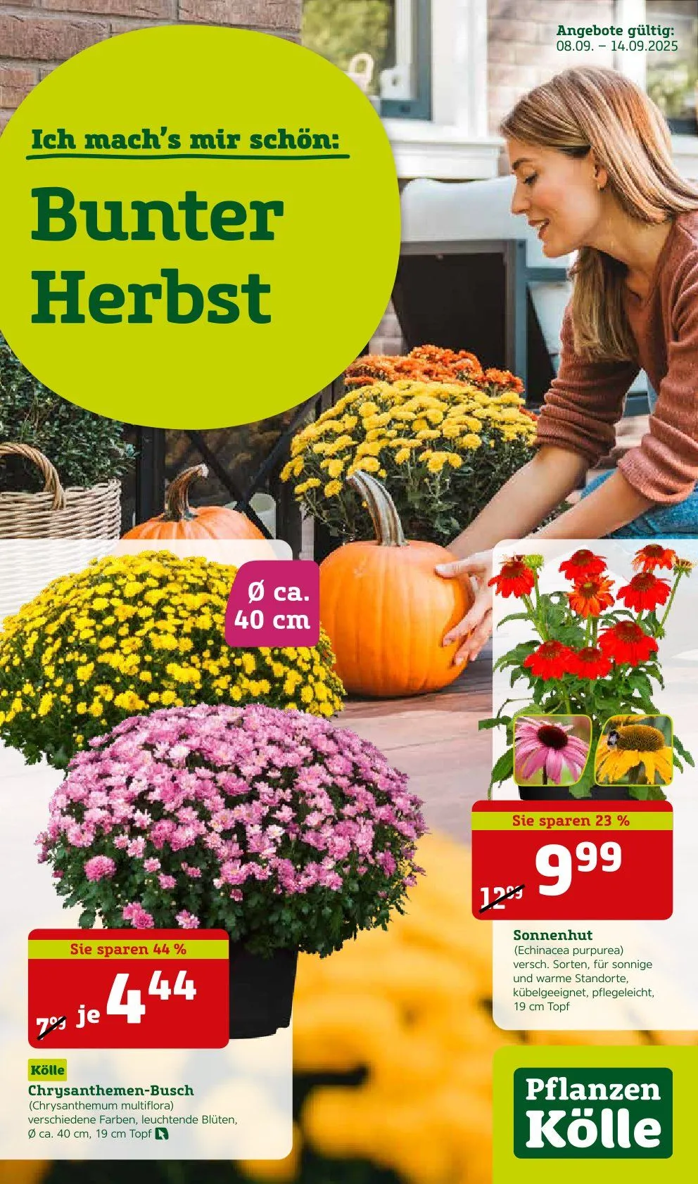  Prospekt Pflanzen-Kölle von 8. September bis 14. September 2025 - Prospekt seite 1