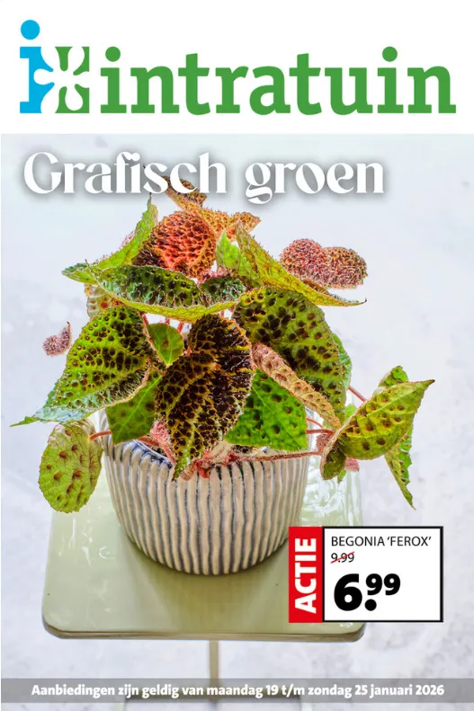Intratuin Folders van 19 januari tot 25 januari 2026 - Folder pagina 