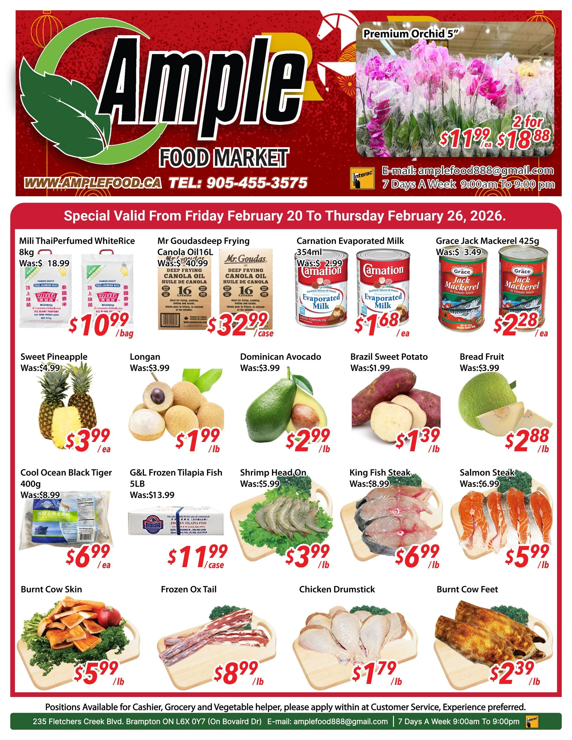 Ample Food Market Sales from February 20 to February 26 2026 - flyer page 1