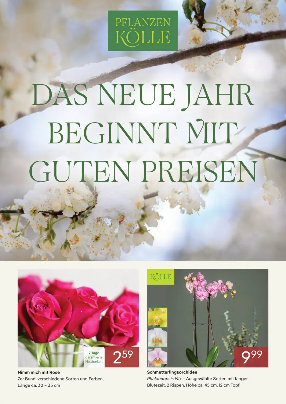 Prospekt Pflanzen-Kölle von 9. Januar bis 21. Januar 2026 - Prospekt seite 1