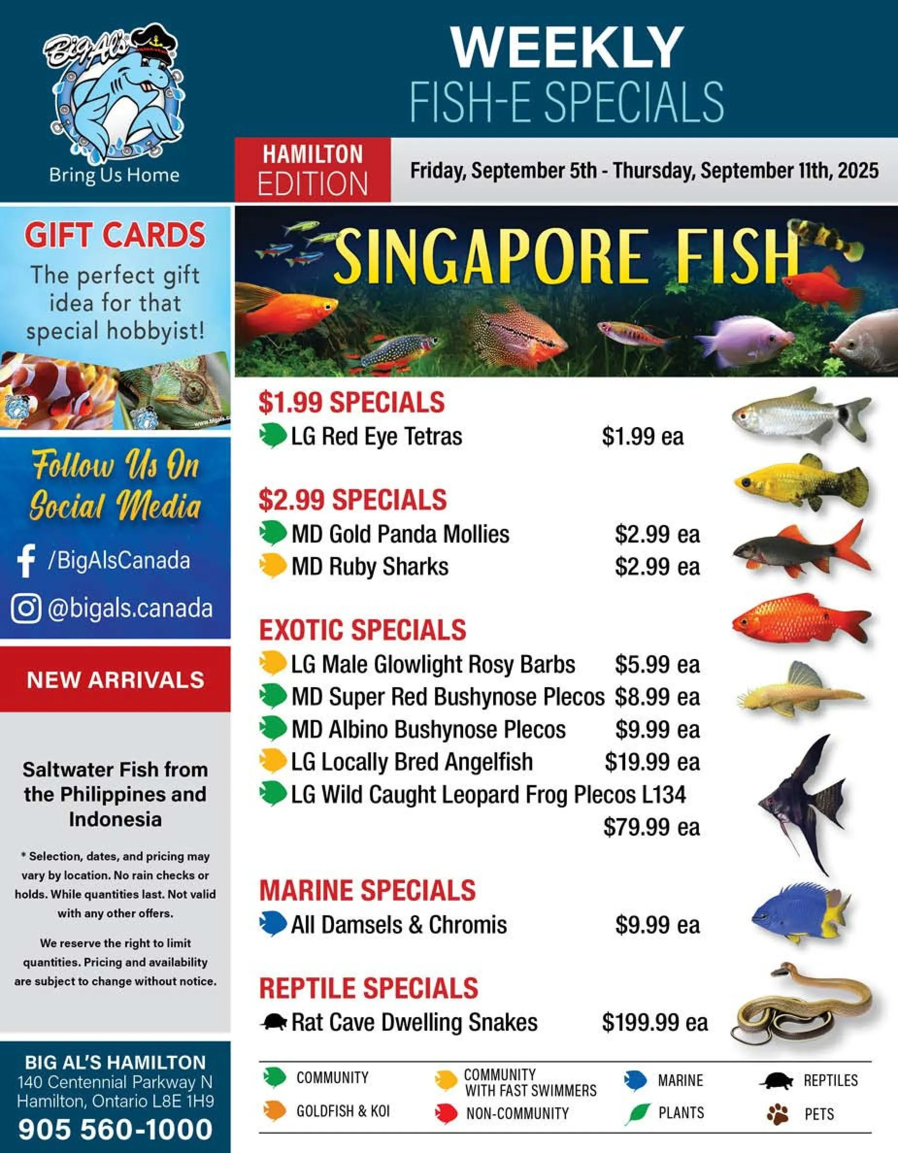 Big Al's Pets Sales from September 5 to September 11 2025 - flyer page 1