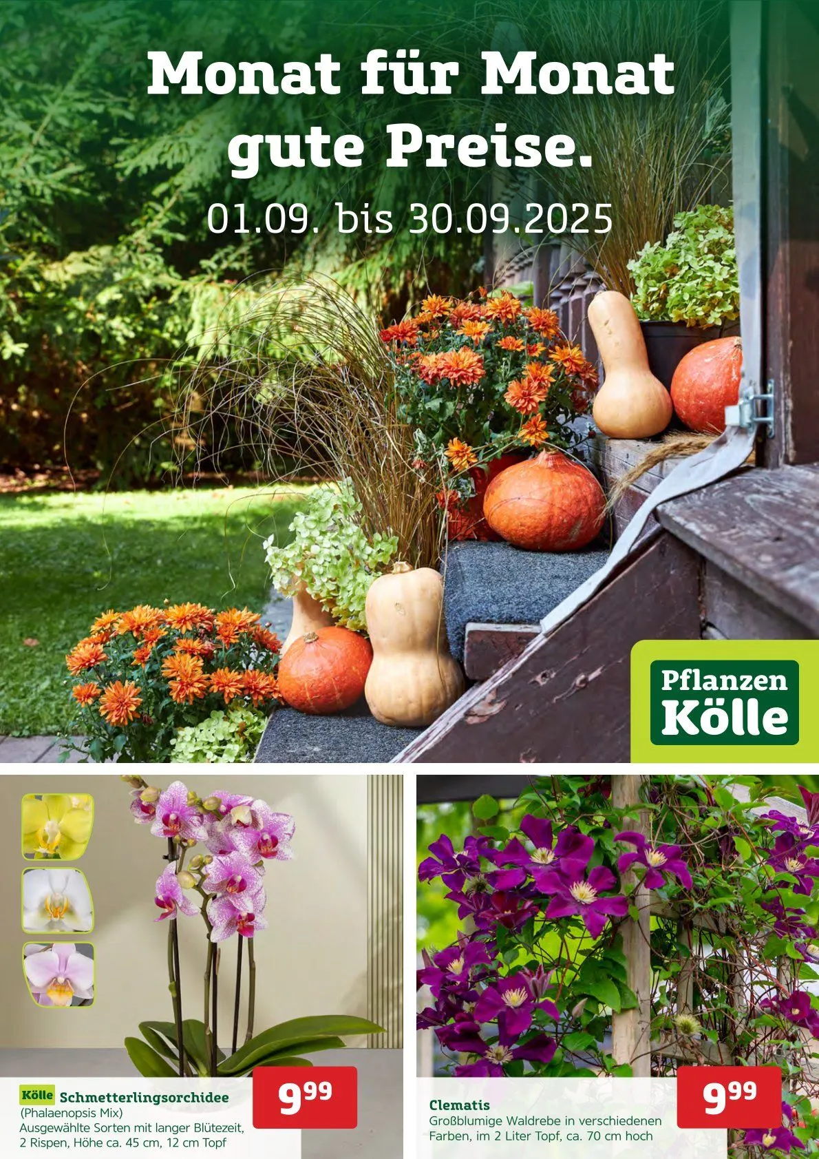  Pflanzen-Kölle Prospekte von 1. September bis 30. September 2025 - Prospekt seite 1