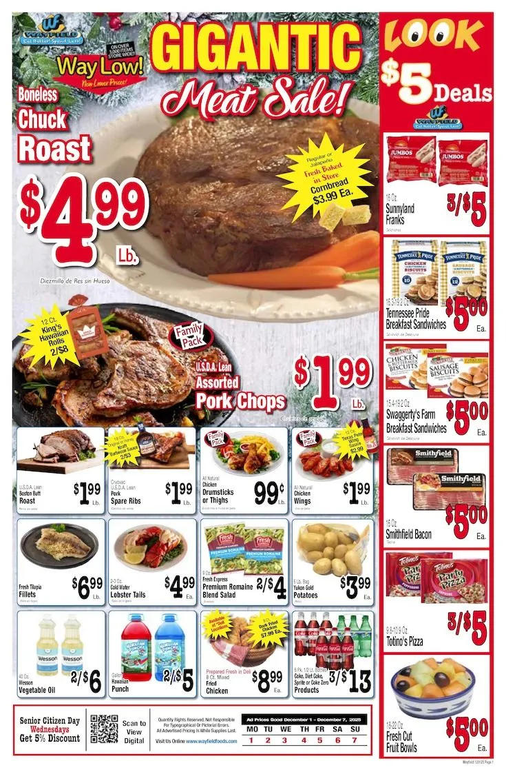Weekly ad Wayfield Sales from December 1 to December 7 2025 - Page 1