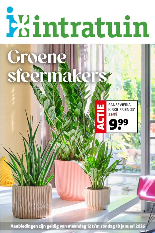 Intratuin folders van 12 januari tot 18 januari 2026 - Folder pagina 1