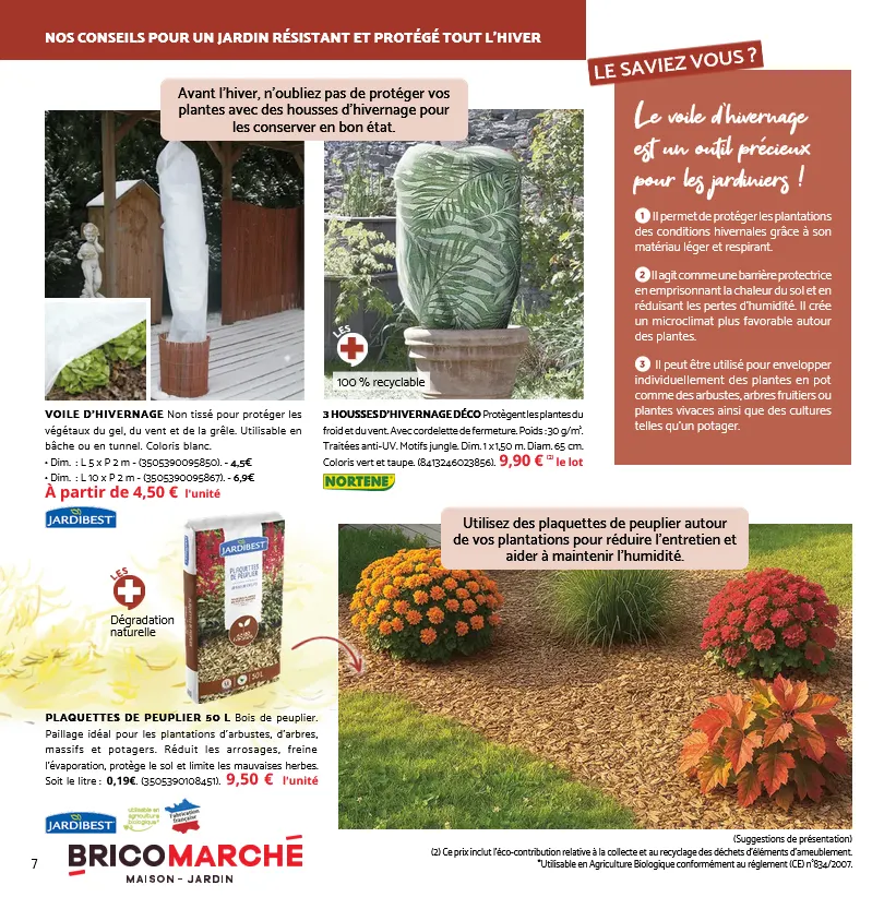 Catalogues Tridôme du 31 octobre au 29 novembre 2025 - Catalogue page 