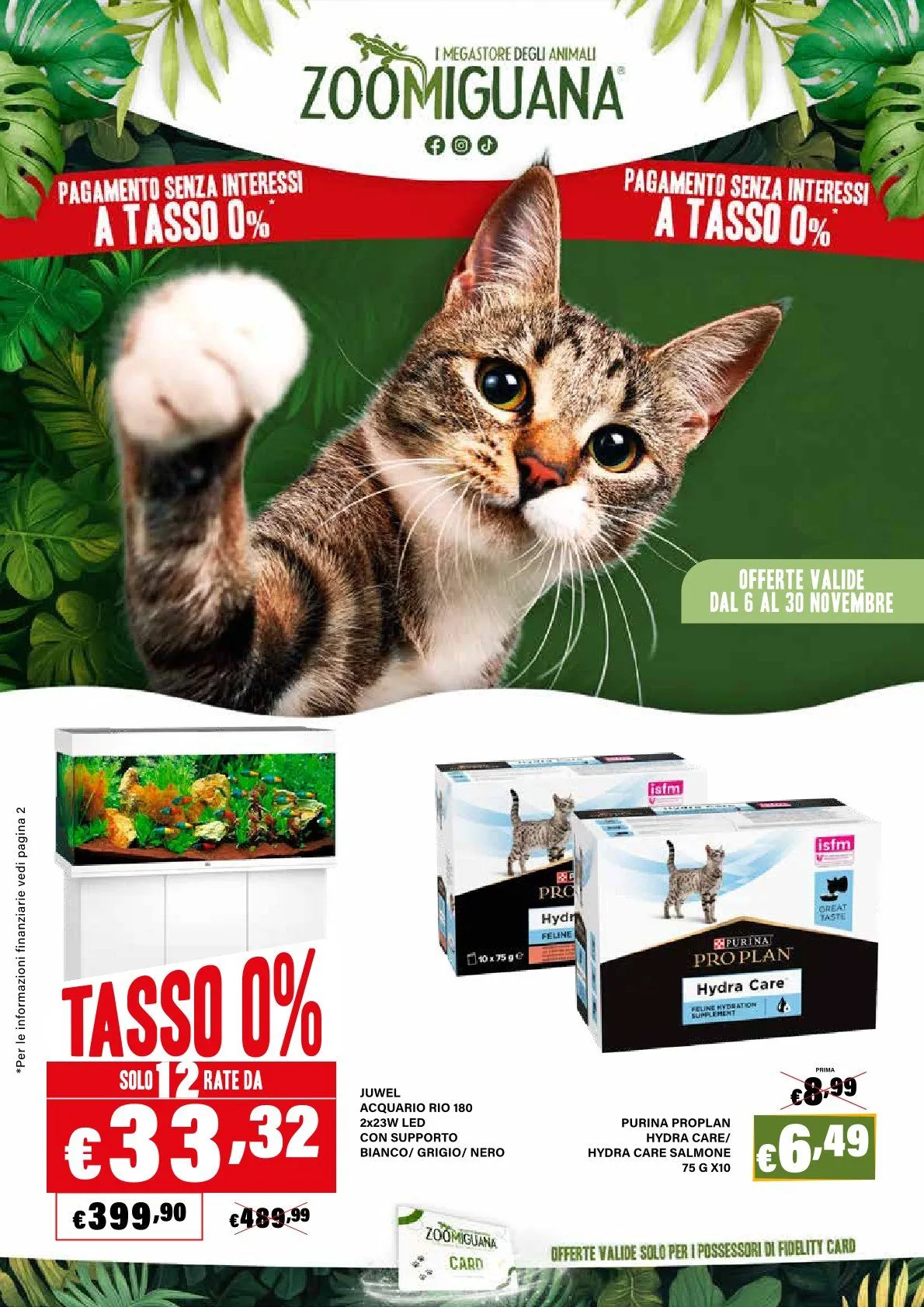 Zoomiguana Volantino da 6 novembre a 30 novembre di 2025 - Pagina del volantino 1