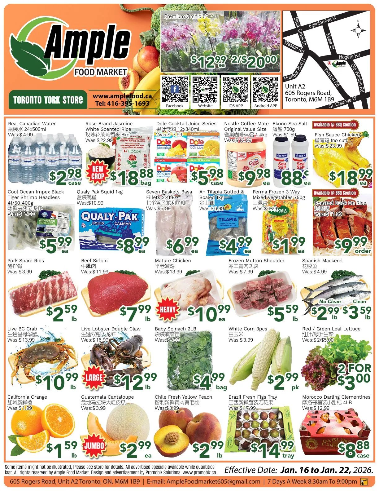 Ample Food Market Sales from January 16 to January 22 2026 - flyer page 1