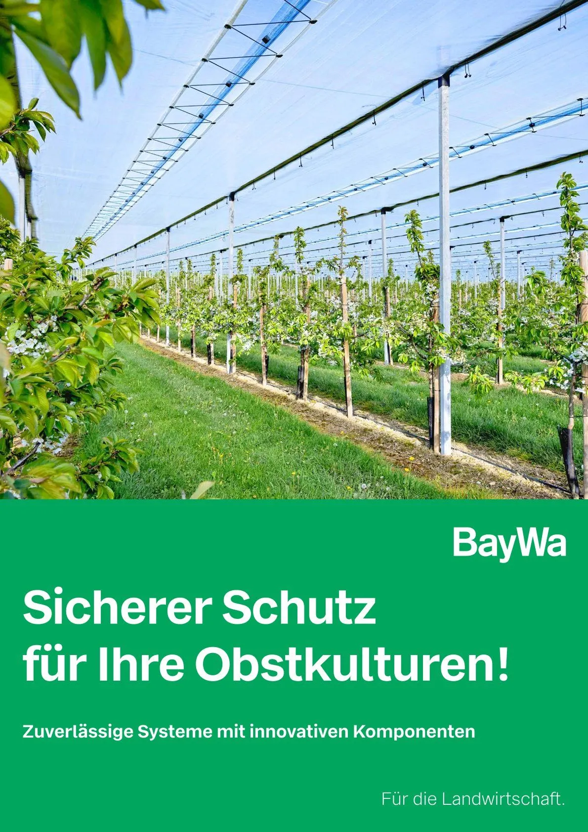 DE - BayWa von 13. Februar bis 28. Februar 2025 - Prospekt seite 