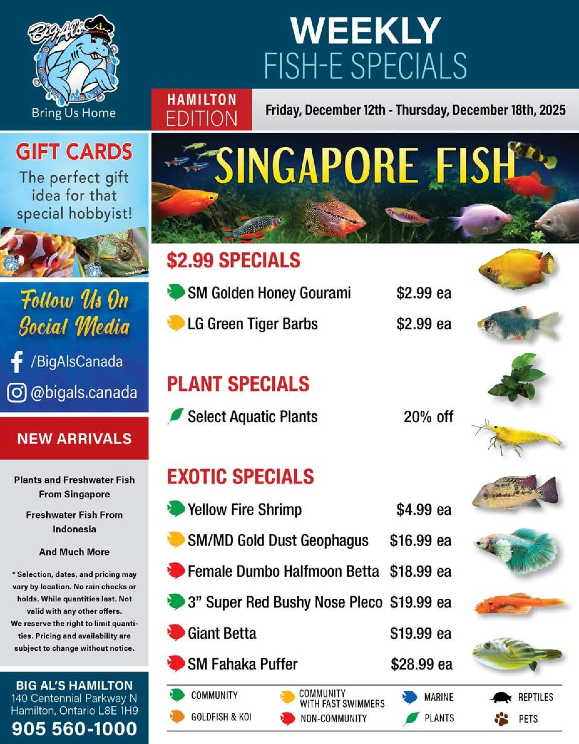 Big Al's Pets Sales from December 12 to December 18 2025 - flyer page 1