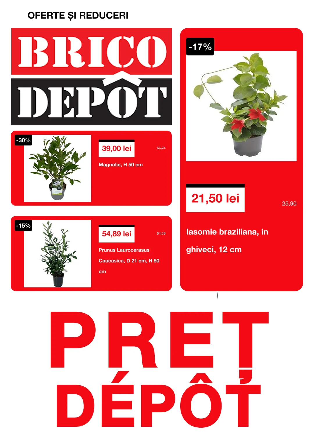 Catalog  Brico Depot de la 16 aprilie până la 6 mai 2026 - Revista Pagina 1