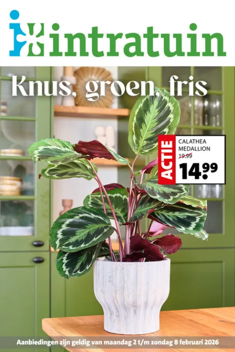  Intratuin folders van 2 februari tot 8 februari 2026 - Folder pagina 