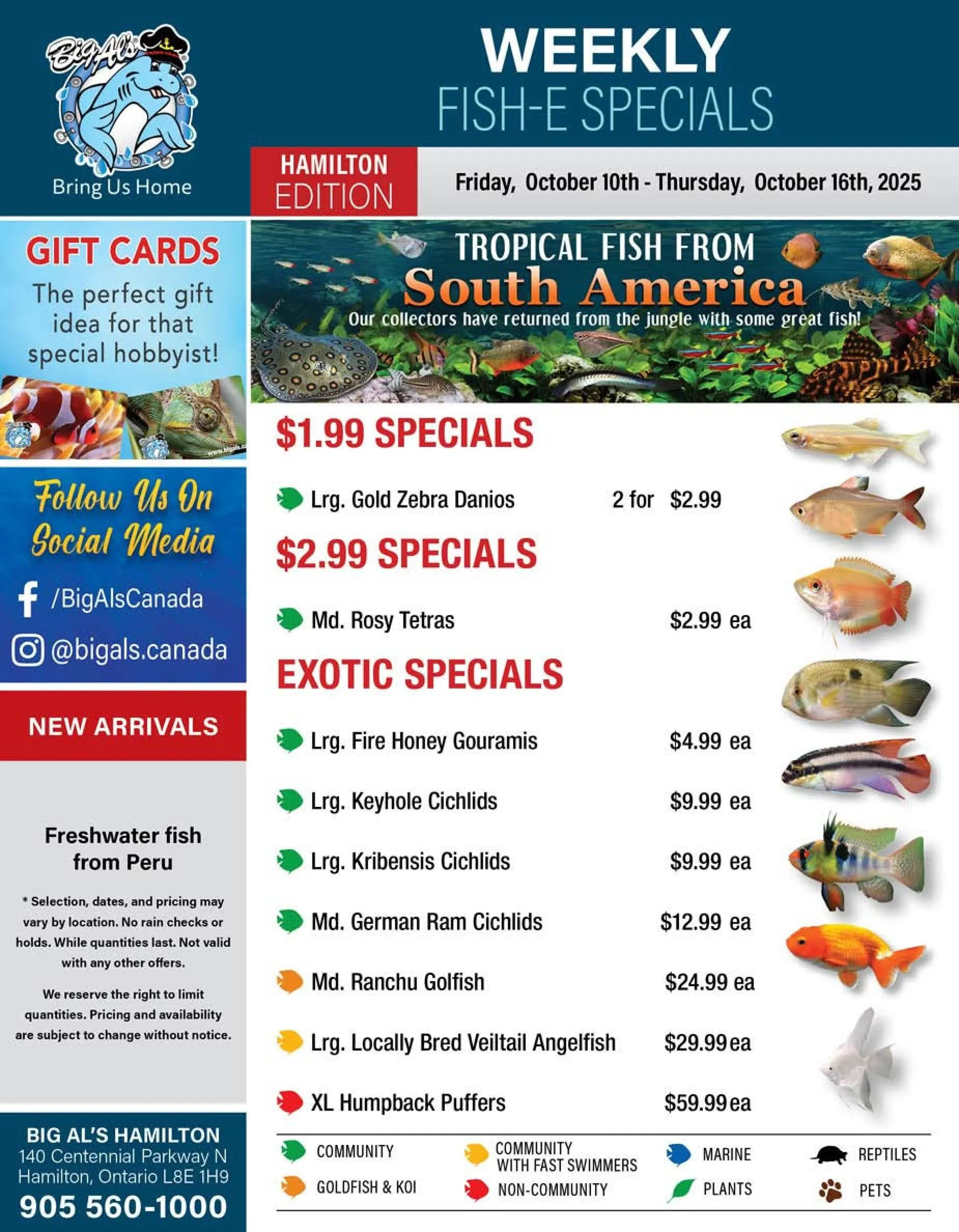 Big Al's Pets flyers from October 10 to October 16 2025 - flyer page 1