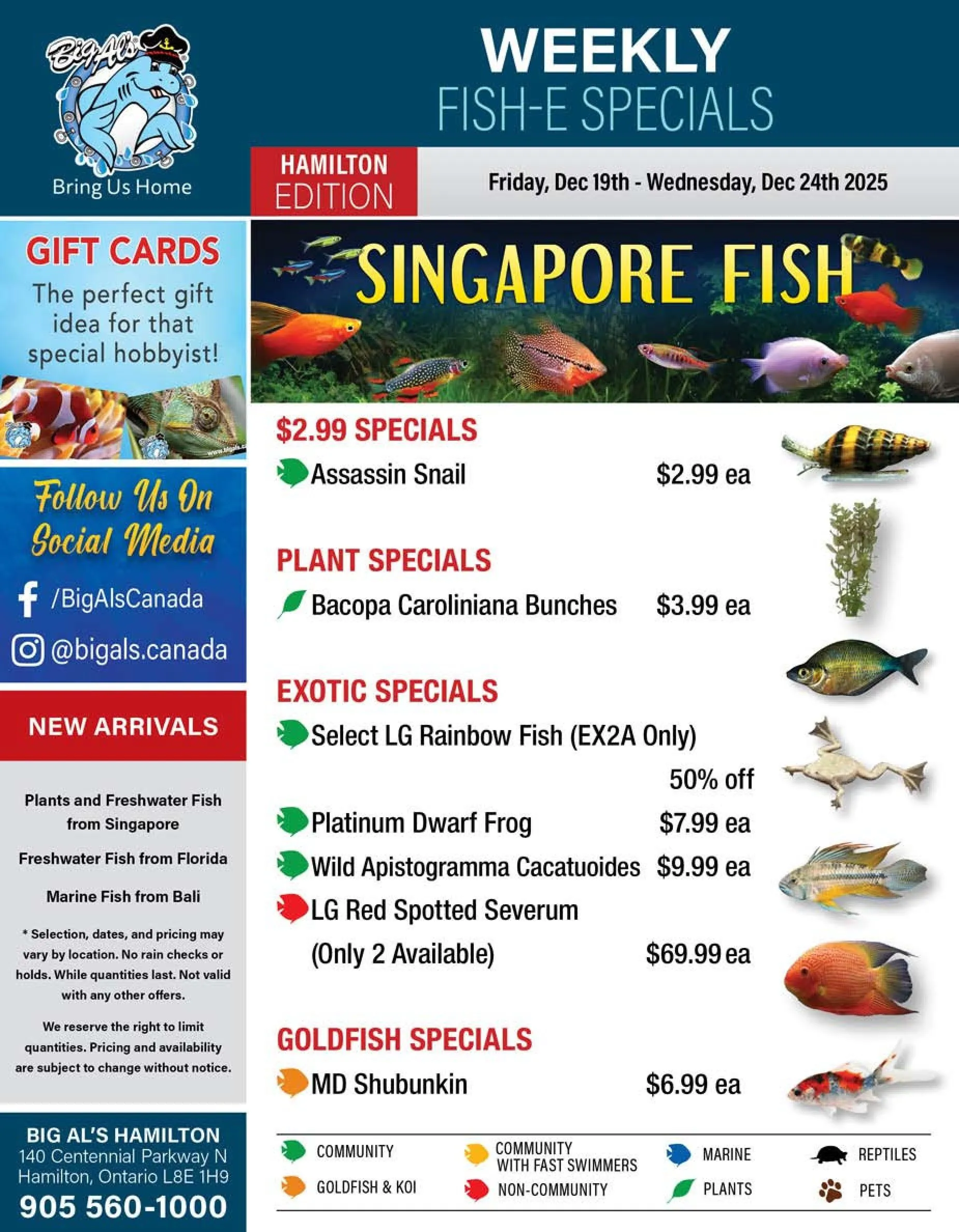  Big Al's Pets from December 19 to December 25 2025 - flyer page 1