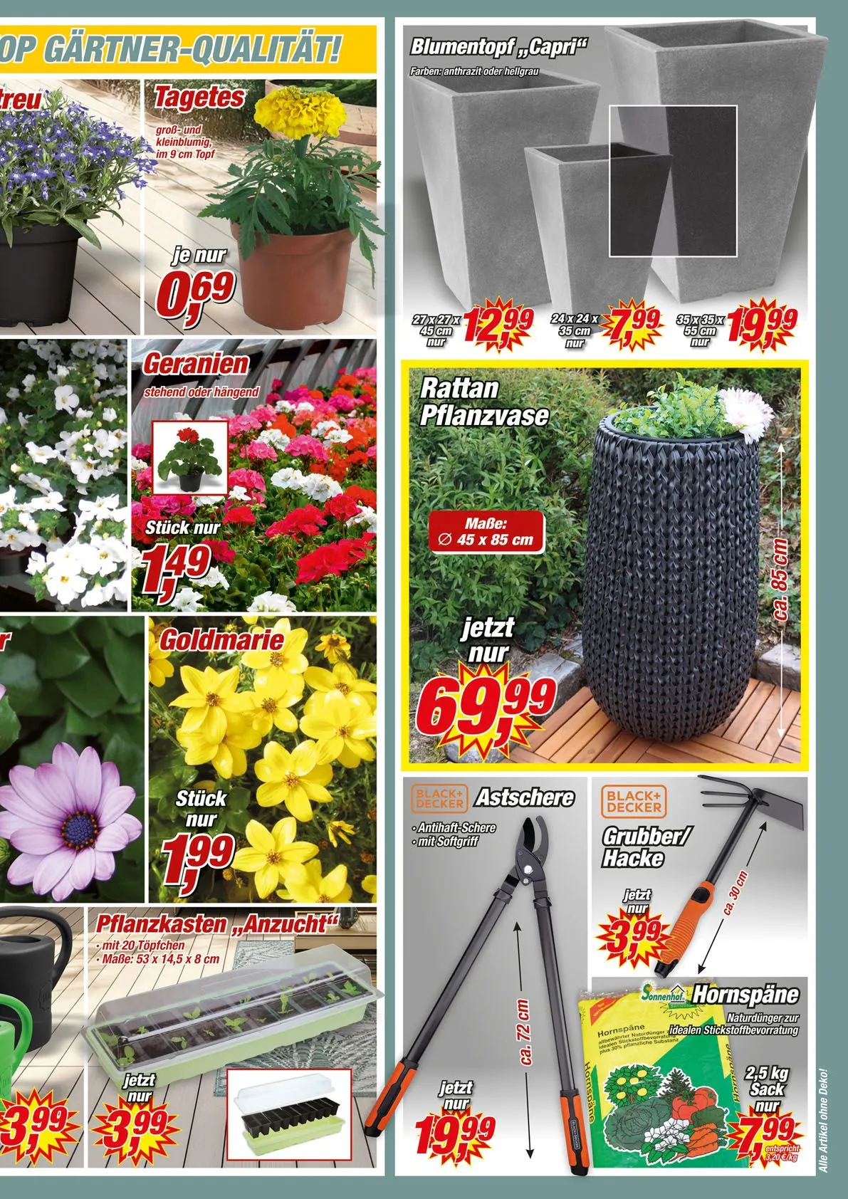 Posten Borse Prospekt von 12. Mai bis 17. Mai 2025 - Prospekt seite 5