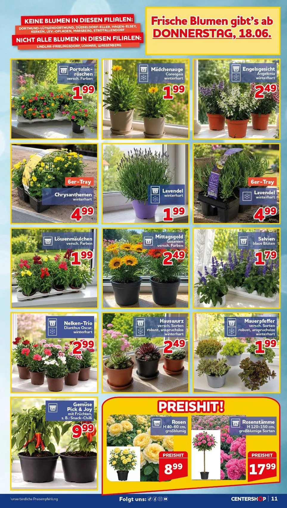 CENTERSHOP Angebote von 15. Juni bis 20. Juni 2026 - Prospekt seite 11