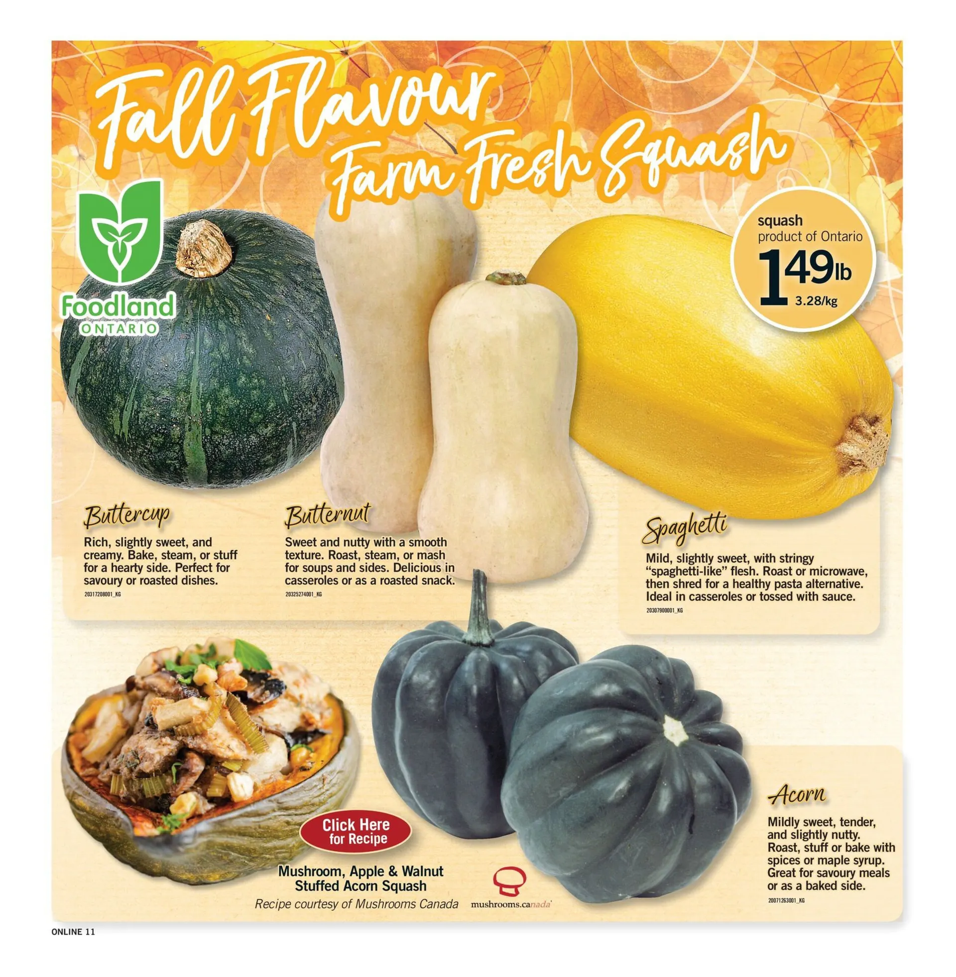 Fortinos Sales from September 24 to October 1 2025 - flyer page 11