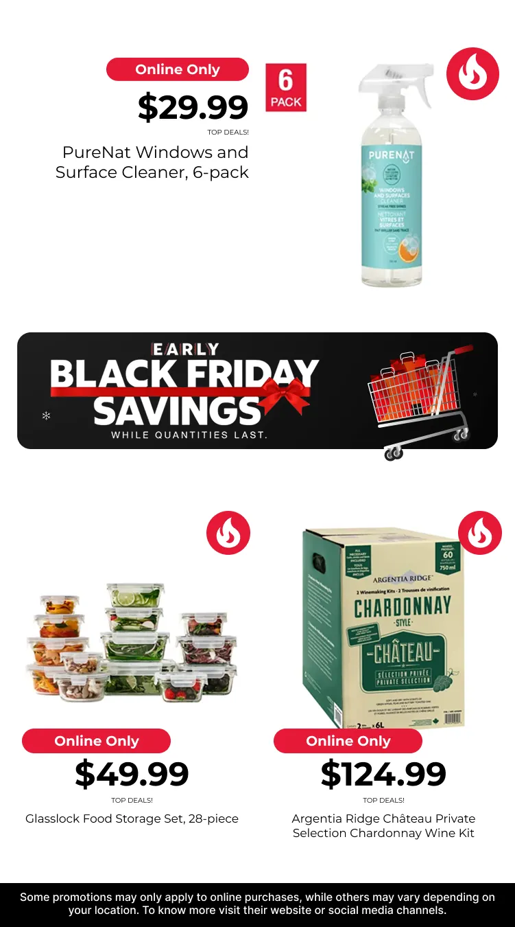 Black friday deals from November 18 to November 30 2025 - flyer page 10