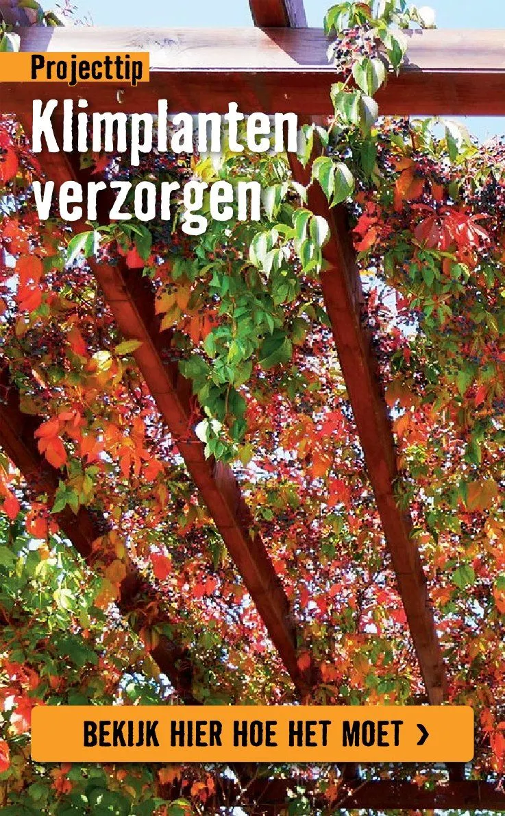 Hornbach folders van 8 april tot 3 mei 2026 - Folder pagina 11