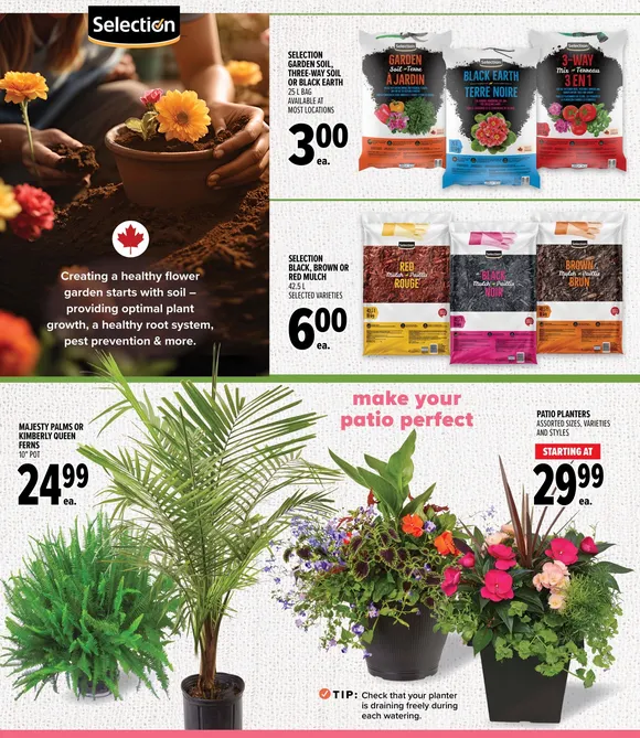  Metro Sales from May 7 to May 13 2026 - flyer page 11