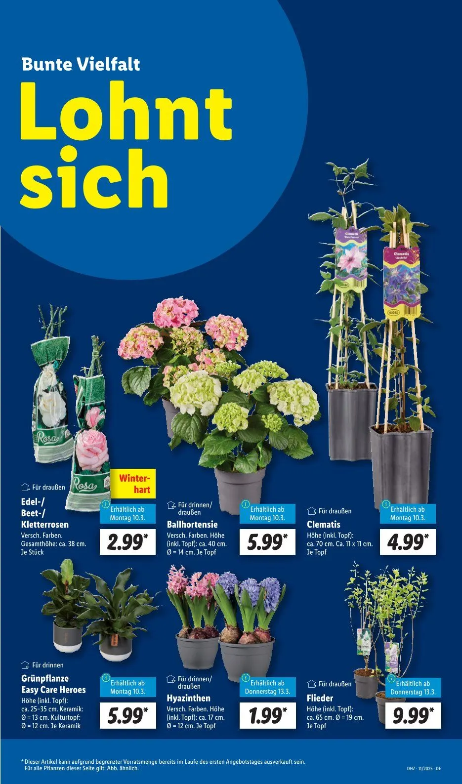 Lidl Prospekt von 10. März bis 15. März 2025 - Prospekt seite 11