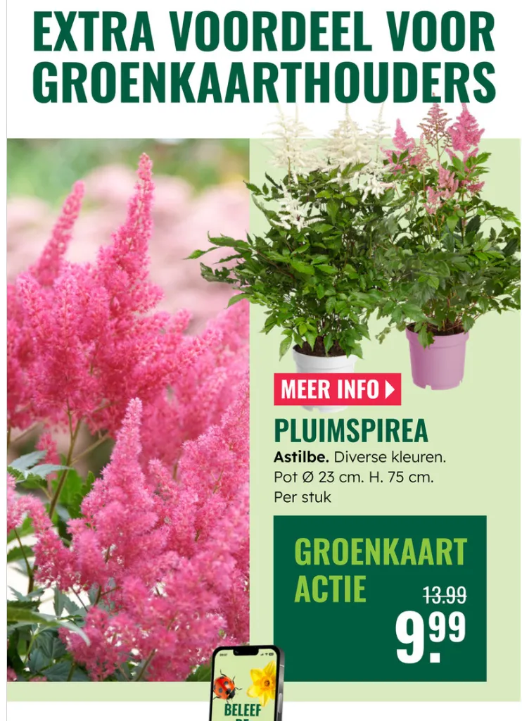 GroenRijk folders van 7 mei tot 13 mei 2026 - Folder pagina 11