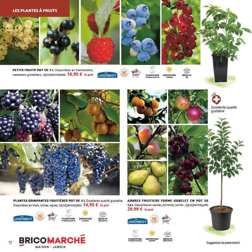 Catalogues Tridôme du 31 octobre au 29 novembre 2025 - Catalogue page 11