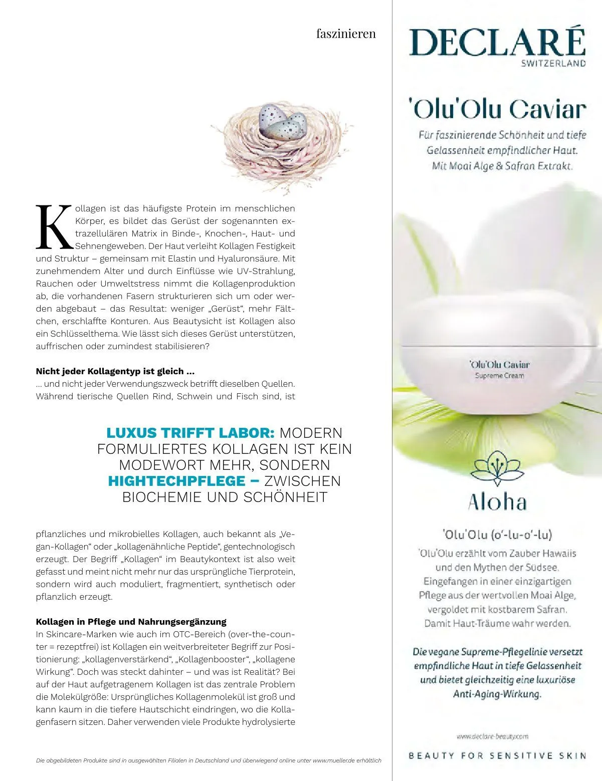 Rabatte von 1. April bis 30. April 2026 - Prospekt seite 11