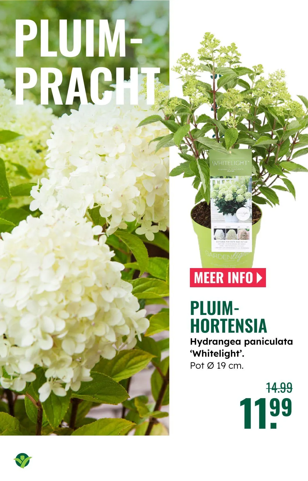 GroenRijk folders van 18 juni tot 24 juni 2026 - Folder pagina 11