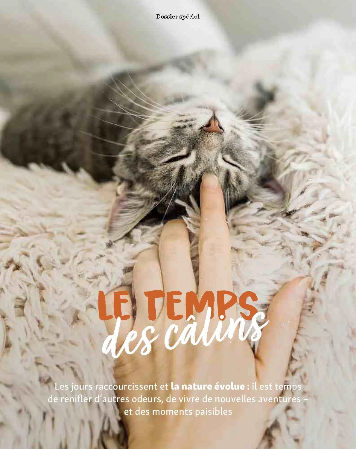 Maxi ZOO Catalogue du 23 décembre au 31 décembre 2025 - Catalogue page 11