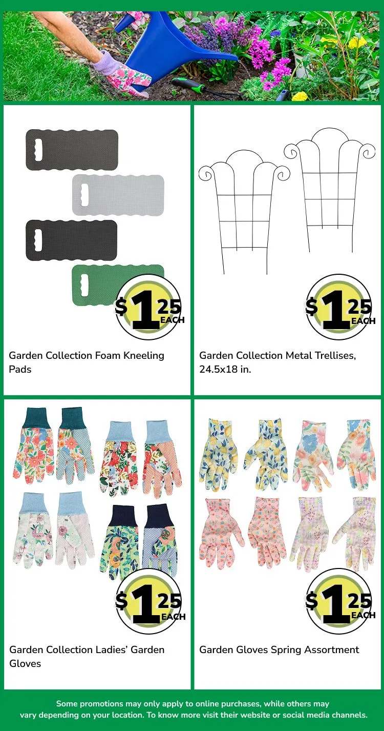 Weekly ad Weekly ads from March 27 to April 10 2025 - Page 10