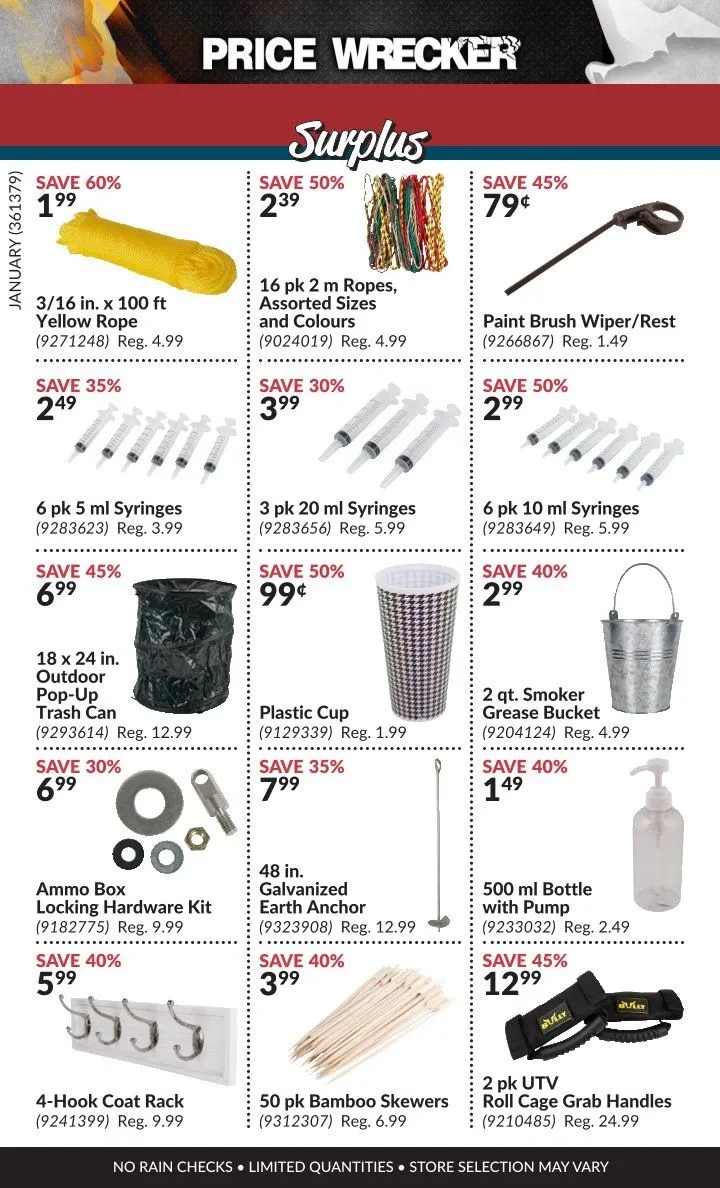 Princess Auto Sales from February 1 to January 31 2025 - flyer page 11