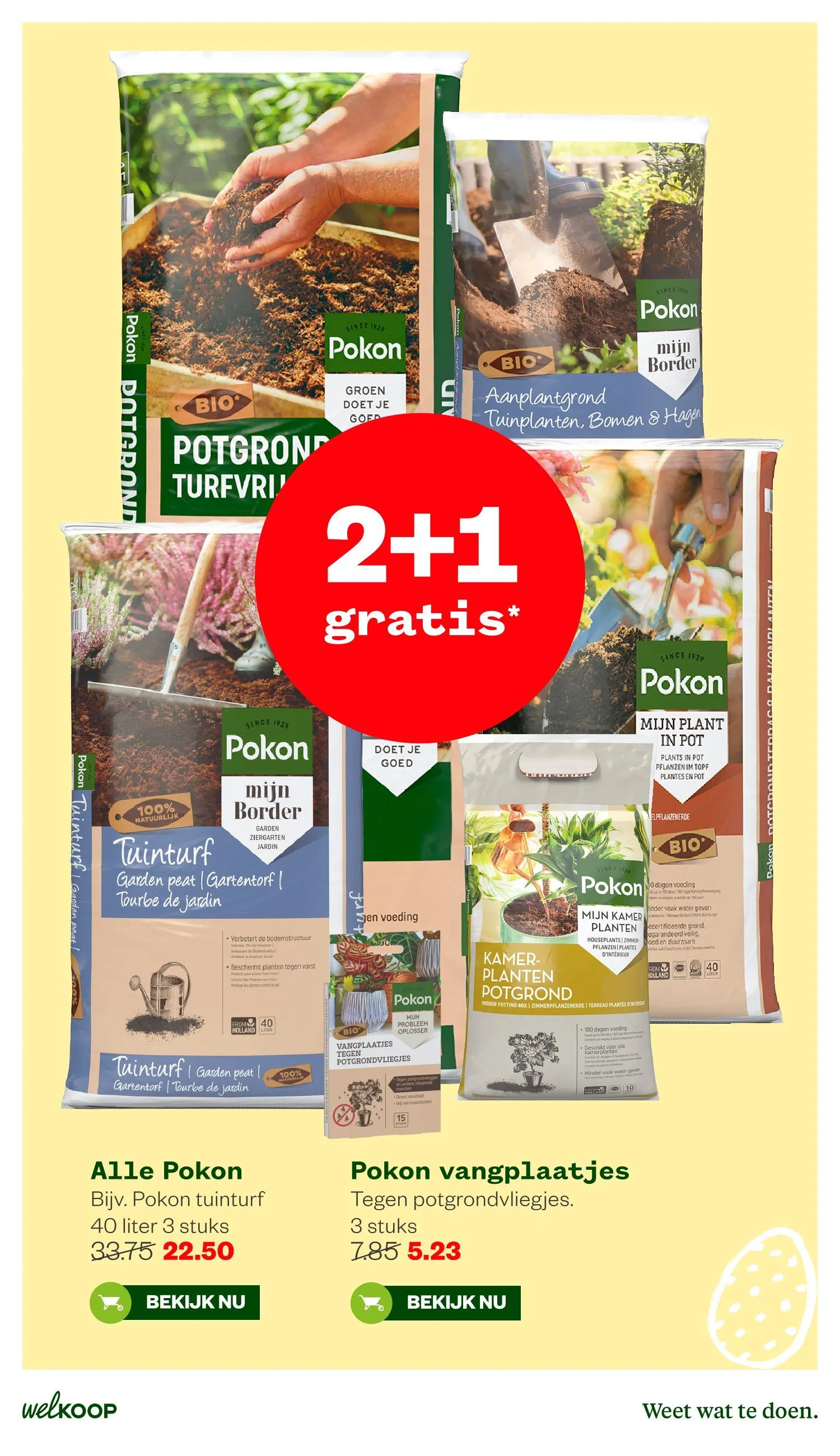 Welkoop folders van 30 maart tot 12 april 2026 - Folder pagina 11