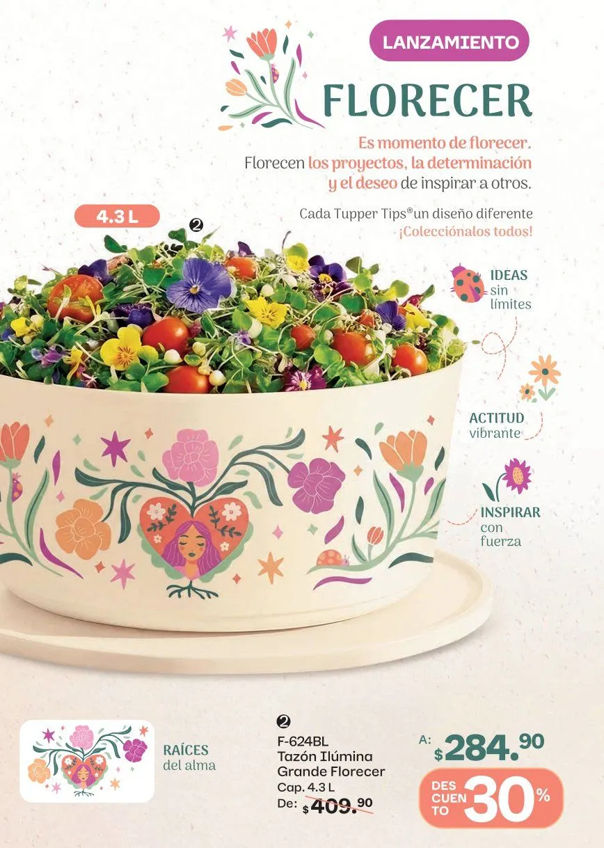 Catálogo de Tupperware Ofertas 15 de junio al 12 de julio 2026 - Pagina 115