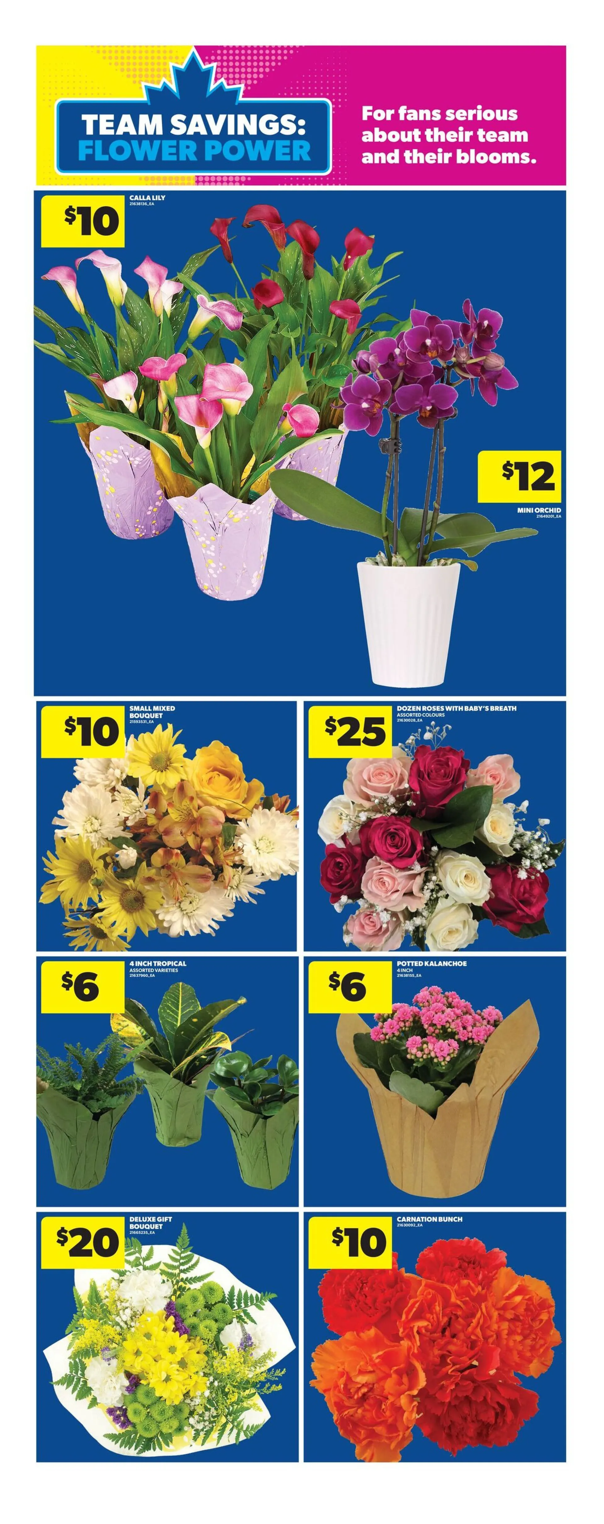 Real Canadian Superstore Sales from July 2 to July 8 2026 - flyer page 12