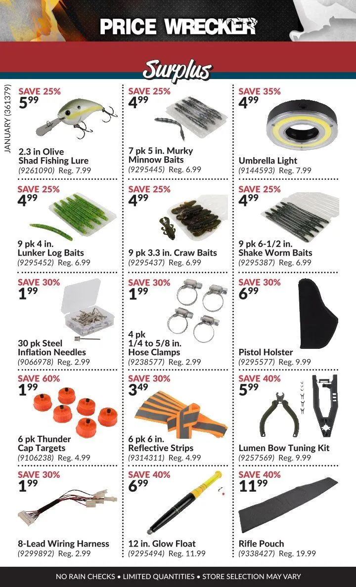 Princess Auto Sales from February 1 to January 31 2025 - flyer page 12