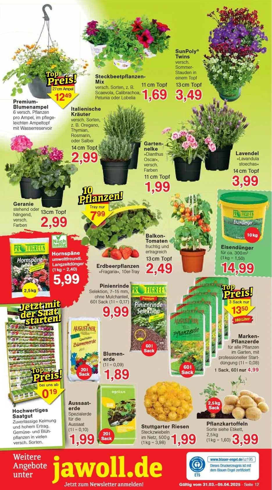 Wiglo Wunderland Prospekt von 31. März bis 5. April 2025 - Prospekt seite 12