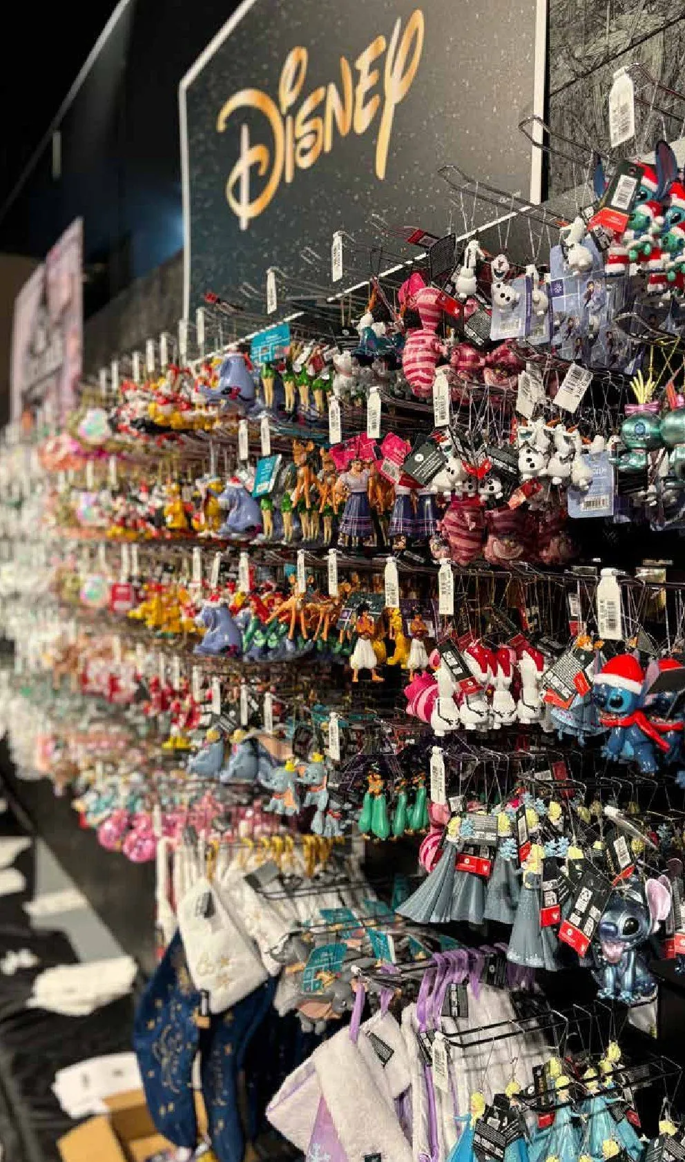 Pflanzen-Kölle Angebote von 11. November bis 25. Dezember 2025 - Prospekt seite 12