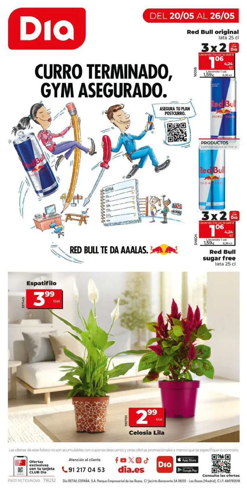 Catálogo de Dia Ofertas 20 de mayo al 26 de mayo 2026 - Página 12