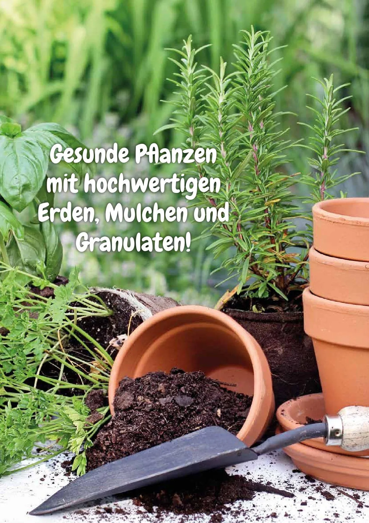 Kiebitzmarkt Prospekt von 16. April bis 31. Dezember 2025 - Prospekt seite 12