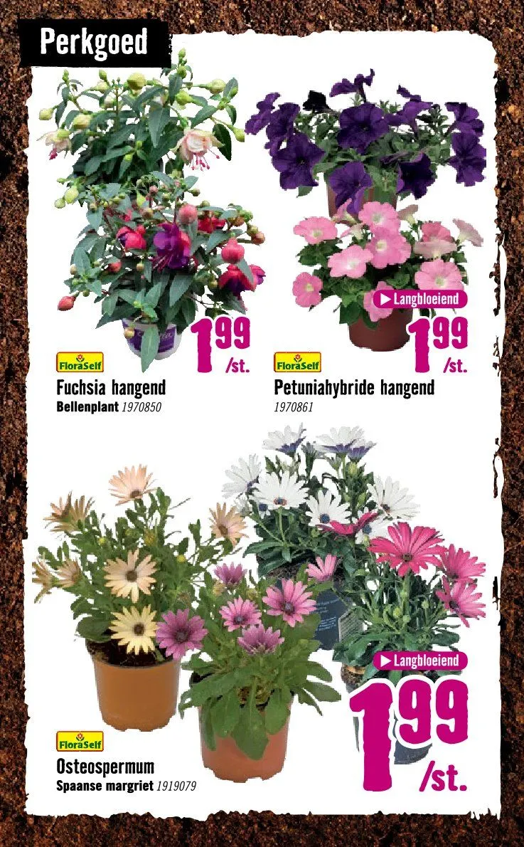 Hornbach folders van 8 april tot 3 mei 2026 - Folder pagina 12