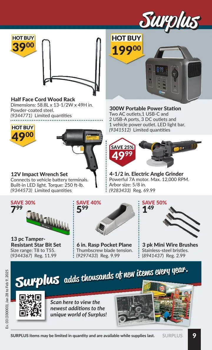 Princess Auto Sales from January 28 to February 9 2025 - flyer page 12
