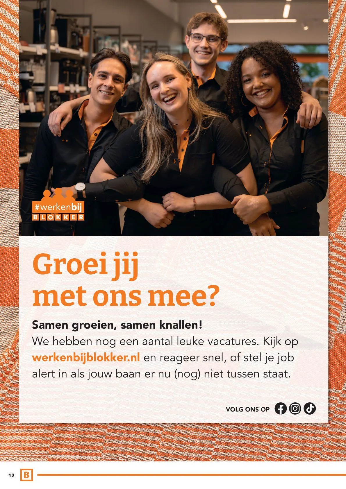  Blokker folders van 2 februari tot 22 februari 2026 - Folder pagina 11