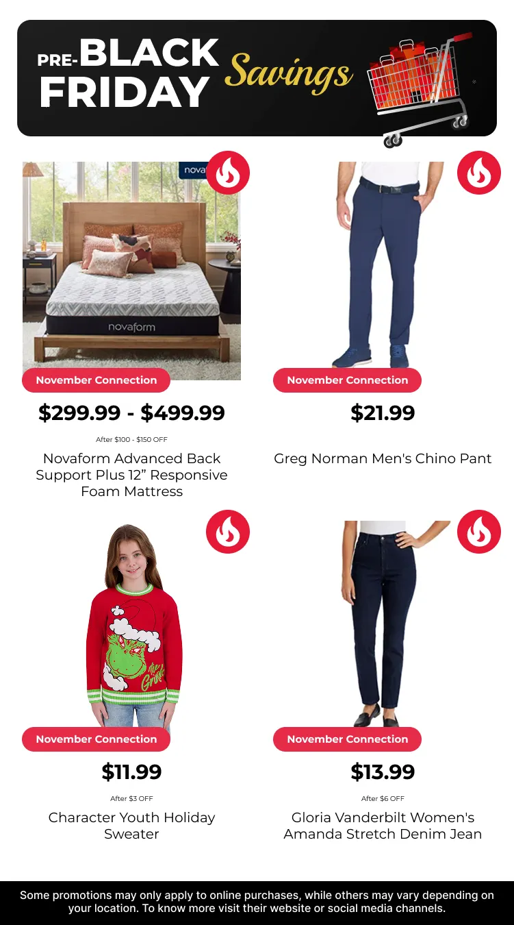 Weekly ad Weekly Ad from November 4 to November 18 2025 - Page 11