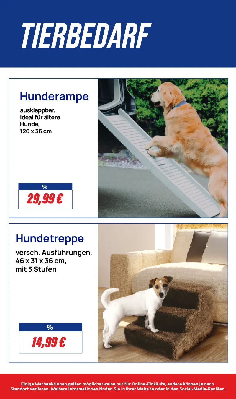 Rabatte von 13. Mai bis 31. Mai 2025 - Prospekt seite 11